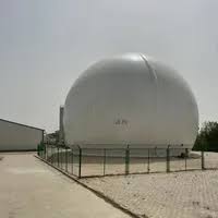 Bio storage balloon